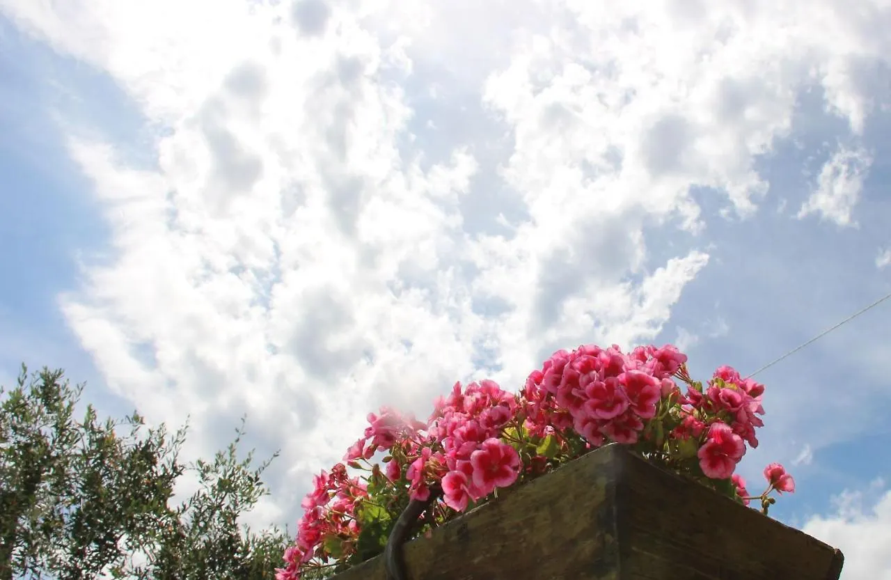 Bed and Breakfast Il Sole di Poggi Imperia Bed & Breakfast